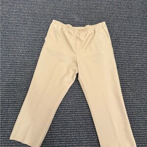 Alfred Dunner Taupe Trousers